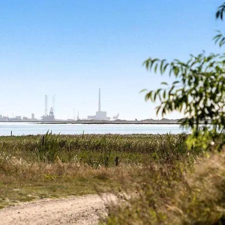 Feriehus Skaubjergvej Blåvand